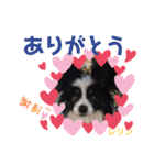 天使な「めるも」とお友達♪日常編（個別スタンプ：6）