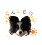 天使な「めるも」とお友達♪日常編（個別スタンプ：8）
