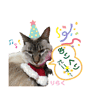 天使な「めるも」とお友達♪日常編（個別スタンプ：12）