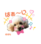 天使な「めるも」とお友達♪日常編（個別スタンプ：18）