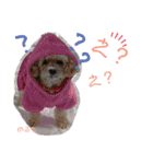 天使な「めるも」とお友達♪日常編（個別スタンプ：19）