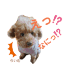 天使な「めるも」とお友達♪日常編（個別スタンプ：20）