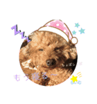 天使な「めるも」とお友達♪日常編（個別スタンプ：21）