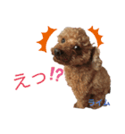 天使な「めるも」とお友達♪日常編（個別スタンプ：24）
