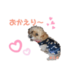 天使な「めるも」とお友達♪日常編（個別スタンプ：25）