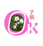 Kawai0621（個別スタンプ：5）