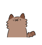 たぬきなねこ（個別スタンプ：1）