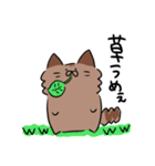 たぬきなねこ（個別スタンプ：4）