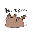 たぬきなねこ（個別スタンプ：13）