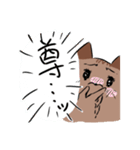 たぬきなねこ（個別スタンプ：24）