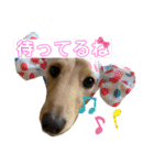 ダックススタンプ日常編（個別スタンプ：18）