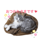 愛しのチャー太郎ちゃん（個別スタンプ：10）
