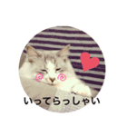 愛しのチャー太郎ちゃん（個別スタンプ：24）