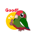 鳥様と毎日（個別スタンプ：7）