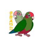 鳥様と毎日（個別スタンプ：12）