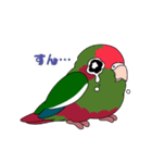 鳥様と毎日（個別スタンプ：16）