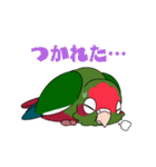 鳥様と毎日（個別スタンプ：17）