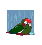 鳥様と毎日（個別スタンプ：22）