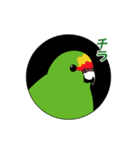 鳥様と毎日（個別スタンプ：30）