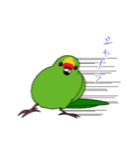 鳥様と毎日（個別スタンプ：37）