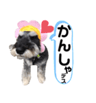 Jackのおちゃらけ日常スタンプ（個別スタンプ：2）