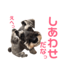 Jackのおちゃらけ日常スタンプ（個別スタンプ：12）