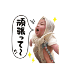 こっちゃんSTAMP（個別スタンプ：12）