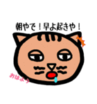 方言ねこ日常(大阪弁)（個別スタンプ：1）