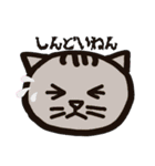 方言ねこ日常(大阪弁)（個別スタンプ：3）