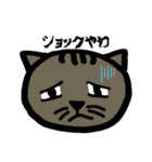 方言ねこ日常(大阪弁)（個別スタンプ：7）