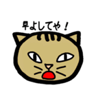 方言ねこ日常(大阪弁)（個別スタンプ：13）