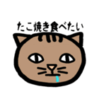 方言ねこ日常(大阪弁)（個別スタンプ：19）