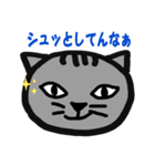 方言ねこ日常(大阪弁)（個別スタンプ：20）