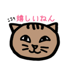 方言ねこ日常(大阪弁)（個別スタンプ：22）