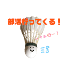 バドミントンのシャトルくんスタンプ（個別スタンプ：31）