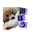 みつもこ（個別スタンプ：18）