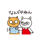 めがねこたち（個別スタンプ：11）