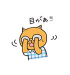 めがねこたち（個別スタンプ：19）