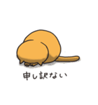 めがねこたち（個別スタンプ：26）