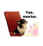 チョコまろVol.1（個別スタンプ：15）