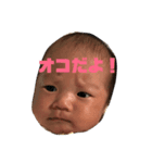 CCLインダビルディングアーイ（個別スタンプ：1）