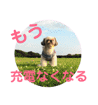 シーズーのキモチ〜日常〜（個別スタンプ：36）