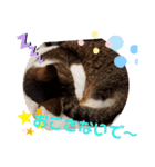 きまぐれしゃちょさん☆（個別スタンプ：4）