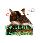 きまぐれしゃちょさん☆（個別スタンプ：7）