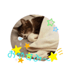 きまぐれしゃちょさん☆（個別スタンプ：12）