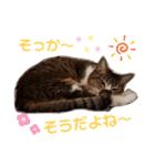 きまぐれしゃちょさん☆（個別スタンプ：25）