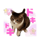 きまぐれしゃちょさん☆（個別スタンプ：27）