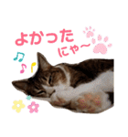 きまぐれしゃちょさん☆（個別スタンプ：31）
