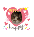 きまぐれしゃちょさん☆（個別スタンプ：35）