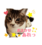きまぐれしゃちょさん☆（個別スタンプ：39）